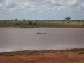 Kenya Safari Tsavo Est et Ouest 005